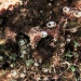 IMG_4874 IMG_4874