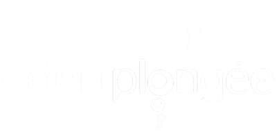 La plongée dans le Grand Cul de Sac Marin de Guadeloupe. La plongée dans le Grand Cul de Sac Marin de Guadeloupe.